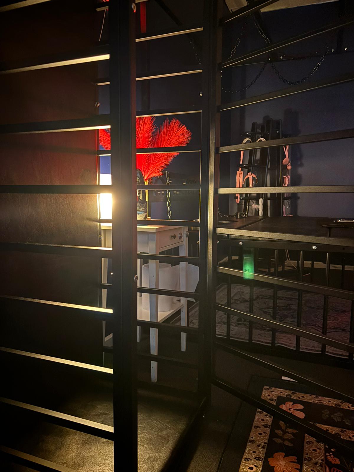 WhatsApp Image 2026-02-19 at 11.07.14 (1)