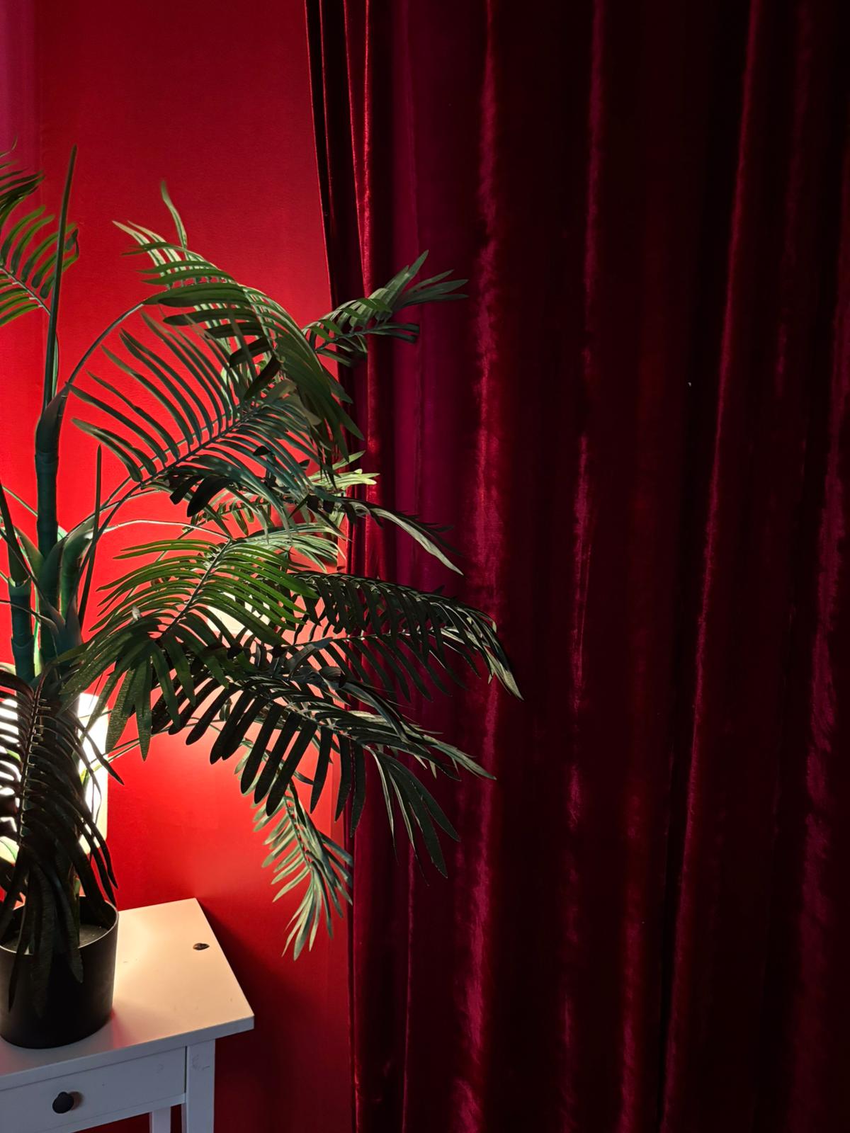 WhatsApp Image 2026-02-19 at 11.07.17 (1)